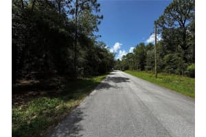SW 106TH AVE, DUNNELLON, FL 34431 - MLS#MFRTB8411886