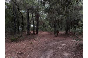 SW 106TH AVE, DUNNELLON, FL 34431 - MLS#MFRTB8411886