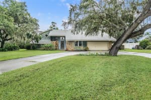 6911 Daubon Ct, NEW PORT RICHEY