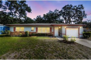 3018 FERN STREET, TAMPA, FL 33610 - MLS#MFRTB8411914