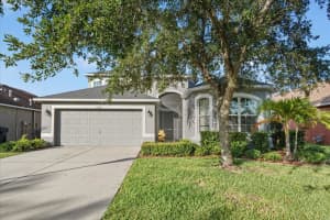 11582 Weston Course Loop, RIVERVIEW