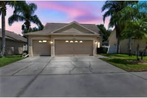 17329 BLOOMING FIELDS DRIVE, LAND O LAKES, FL 34638 - MLS#MFRTB8411940