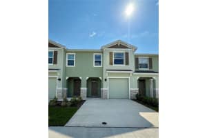 11406 VELVET APRICOT DRIVE, LAND O LAKES, FL 34638 - MLS#MFRTB8411949