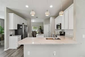 8821 RIVER ROAD, TAMPA, FL 33635 - MLS#MFRTB8411953