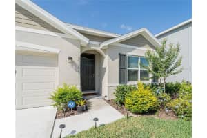 33488 ELM HILL BRIDGE, WESLEY CHAPEL, FL 33545 - MLS#MFRTB8411954