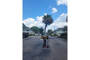 534 GOLDEN RAINTREE PLACE, BRANDON, FL 33510 - MLS#MFRTB8411958