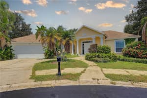 2208 Hampstead Ct, SAFETY HARBOR 2208 Hampstead Ct, SAFETY HARBOR