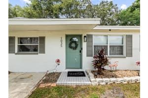 1035 7TH STREET, SAFETY HARBOR, FL 34695 - MLS#MFRTB8412011