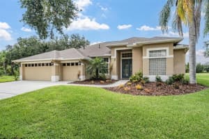 19118 Mandarin Grove Pl, TAMPA
