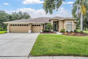 19118 MANDARIN GROVE PLACE, TAMPA, FL 33647 Sold 09/15/25