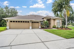 19118 MANDARIN GROVE PLACE, TAMPA, FL 33647 Sold 09/15/25