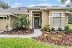 19118 MANDARIN GROVE PLACE, TAMPA, FL 33647 Sold 09/15/25