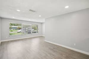 1317 RANCHWOOD DRIVE, DUNEDIN, FL 34698 - MLS#MFRTB8412040