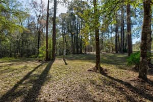 11504 LAKE DRIVE, NEW PORT RICHEY, FL 34654 - MLS#MFRTB8412055