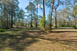 11504 LAKE DRIVE, NEW PORT RICHEY, FL 34654 - MLS#MFRTB8412055