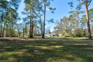 11504 LAKE DRIVE, NEW PORT RICHEY, FL 34654 - MLS#MFRTB8412055