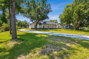 3615 SWINDELL ROAD, PLANT CITY, FL 33565 - MLS#MFRTB8412062