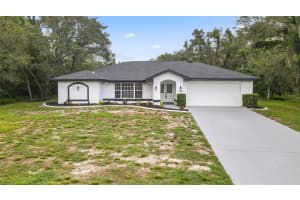 11463 Chalk Farm Rd, SPRING HILL