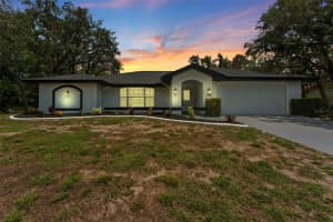 11463 CHALK FARM ROAD, SPRING HILL, FL 34609 - MLS#MFRTB8412086