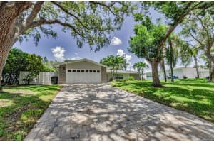1180 NELSON STREET, DUNEDIN, FL 34698 - MLS#MFRTB8412090