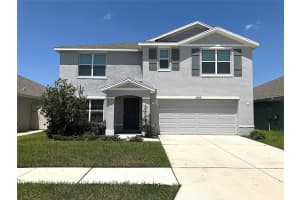 11889 DOWNY BIRCH DRIVE, RIVERVIEW, FL 33569 - MLS#MFRTB8412100