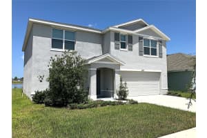 11889 DOWNY BIRCH DRIVE, RIVERVIEW, FL 33569 - MLS#MFRTB8412100