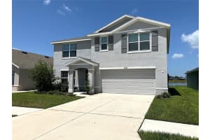 11889 DOWNY BIRCH DRIVE, RIVERVIEW, FL 33569 - MLS#MFRTB8412100