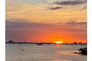 2800 TIFTON STREET, GULFPORT, FL 33711 - MLS#MFRTB8412107