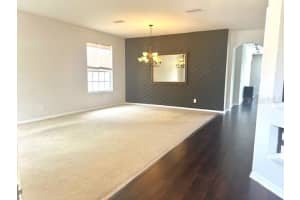 18319 CYPRESS HAVEN DRIVE, TAMPA, FL 33647 - MLS#MFRTB8412110