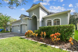 19215 Meadow Pine Dr, TAMPA