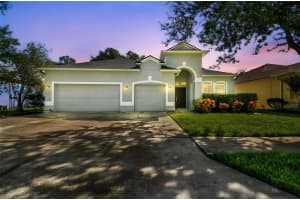 19215 MEADOW PINE DRIVE, TAMPA, FL 33647 - MLS#MFRTB8412138