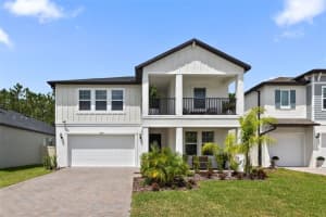 18362 Serene Lake Loop, LUTZ