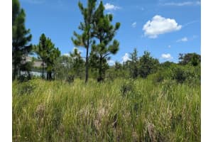 208 POINCIANA DRIVE, INDIAN LAKE ESTATES, FL 33855 - MLS#MFRTB8412159