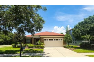 6411 Foxbury Ridge Ln, RIVERVIEW