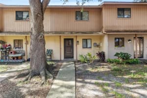 3920 Cedar Limb Ct, TAMPA