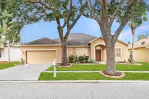 10903 WILDCAT DRIVE, RIVERVIEW, FL 33579 - MLS#MFRTB8412190