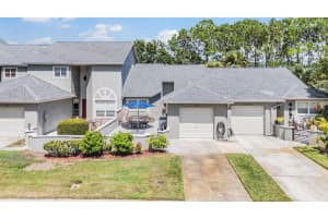 141 Hunter Ct, PALM HARBOR