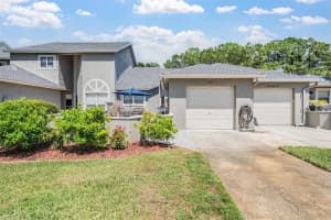 141 HUNTER COURT, PALM HARBOR, FL 34684 - MLS#MFRTB8412195
