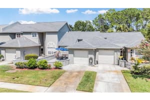 141 HUNTER COURT, PALM HARBOR, FL 34684 - MLS#MFRTB8412195