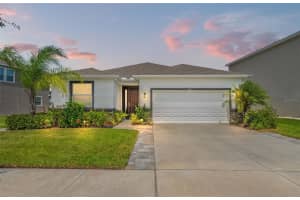 8952 Bower Bass Cir, WESLEY CHAPEL