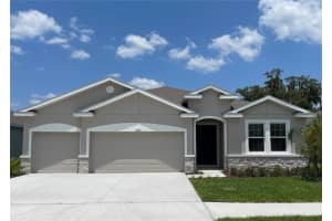 13811 WHISKEY DAISY DRIVE, DADE CITY, FL 33525 - MLS#MFRTB8412214