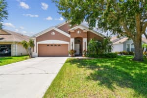 17228 Whisper Breeze Way, LAND O LAKES