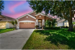 17228 WHISPER BREEZE WAY, LAND O LAKES, FL 34638 - MLS#MFRTB8412243