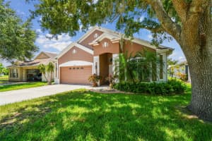 17228 WHISPER BREEZE WAY, LAND O LAKES, FL 34638 - MLS#MFRTB8412243