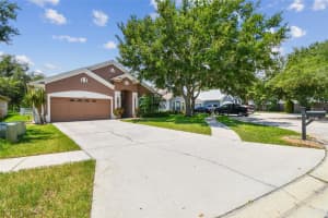 17228 WHISPER BREEZE WAY, LAND O LAKES, FL 34638 - MLS#MFRTB8412243