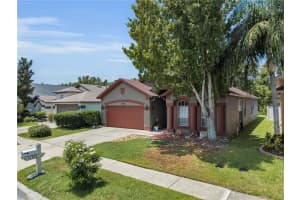 31306 HEATHERSTONE DRIVE, WESLEY CHAPEL, FL 33543 - MLS#MFRTB8412251