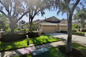 19129 Lake Audubon Dr, TAMPA
