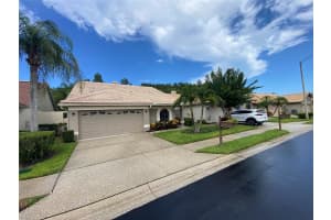 3664 DARSTON STREET, PALM HARBOR, FL 34685 - MLS#MFRTB8412276