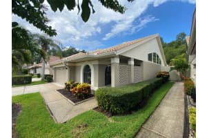 3664 DARSTON STREET, PALM HARBOR, FL 34685 - MLS#MFRTB8412276