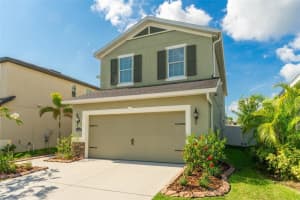 11125 Abaco Island Ave, RIVERVIEW